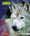 Gray Wolves : Return to Yellowstone cover