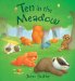 Ten in the Meadow cover