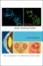 Gene Sharing And Evolution : The Diversity of Protein Functions cover