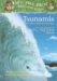  Tsunamis and Other Natural Disasters: A Nonfiction Companion to High Tide in Hawaii