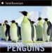 Penguins cover