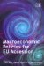 Macroeconomics Policies for EU Accession cover