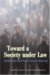 Toward a Society Under Law : Citizens And Their Police in Latin America cover