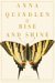 Rise and Shine : A Novel cover