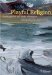 Playful Religion : Challenges for the Study of Religion cover
