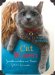 Cat Women : Female Writers on Their Feline Friends cover