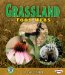 Grassland Food Webs cover