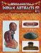 Ornamental Indian Artifacts : Identification And Value Guide cover
