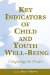 Key Indicators of Child and Youth Well-Being : Completing the Picture cover