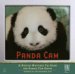 Panda Cam : A Nation Watches Tai Shan the Panda Cub Grow cover