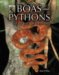 Boas And Pythons of the World cover