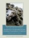 The Light and Smith Manual : Intertidal Invertebrates from Central California to Oregon cover