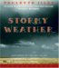 Stormy Weather cover