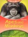  Apes and Monkeys