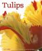 Tulips cover