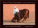 Four and Twenty Photographs : Stories from Behind the Lens cover