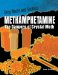 Methamphetamine : The Dangers of Crystal Meth cover