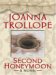 Second Honeymoon : A Novel cover