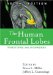 The Human Frontal Lobes : Functions And Disorders cover