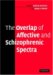 The Overlap of Affective And Schizophrenic Spectra cover