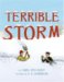 Terrible Storm cover