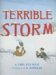 Terrible Storm cover