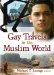 Gay Travels in the Muslim World cover