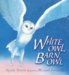 White Owl, Barn Owl : Read and Wonder cover
