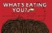 What's Eating You? : Parasites--the Inside Story cover