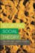  Situating Social Theory