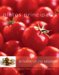 Williams-Sonoma Platos Principales : La Nueva Cocina Saludable cover
