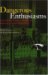 Dangerous Enthusiasms : E-government, Computer Failure and Information Systems Development cover