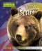 Grizzly Bears : Saving the Silvertip cover