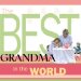 The Best Grandma in the World cover