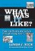 What Was It Like? : Teaching History And Culture Through Young Adult Literature cover