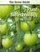 Plant Biotechnology cover