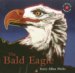 The Bald Eagle
