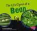 The Life Cycle of a Bean cover