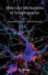 Molecular Mechanisms of Synaptogenesis cover