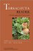 Terracotta Reader : A Market Approach to the Environment cover