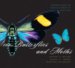  100 Butterflies and Moths: Portraits from the Tropical Forests of Costa Rica
