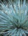 Grasses and Bamboos : Using Form and Shape to Create Visual Impact in the Garden cover