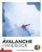 The Avalanche Handbook cover