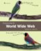 Programming the World Wide Web cover