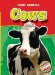 Cows cover