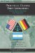 Practical Global Tort Litigation cover