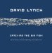 Catching the Big Fish : Meditation, Consciousness, and Creativity cover