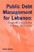 Public Debt Management for Lebanon : Situation Analysis and Strategy for Change cover