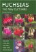 Fuchsias : The New Cultivars cover