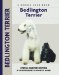 Bedlington Terrier cover